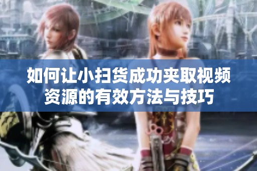 如何让小扫货成功夹取视频资源的有效方法与技巧
