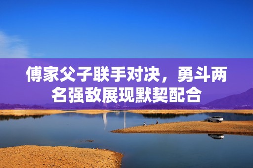 傅家父子联手对决，勇斗两名强敌展现默契配合