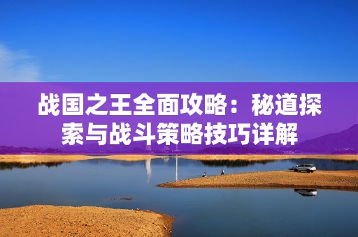 战国之王全面攻略：秘道探索与战斗策略技巧详解