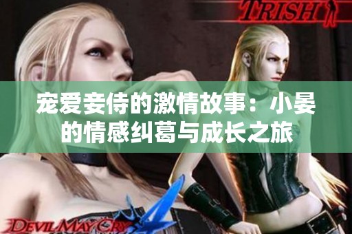 宠爱妾侍的激情故事：小晏的情感纠葛与成长之旅