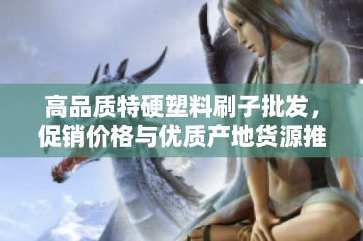 高品质特硬塑料刷子批发，促销价格与优质产地货源推荐