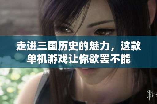 走进三国历史的魅力，这款单机游戏让你欲罢不能