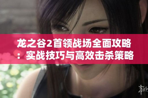 龙之谷2首领战场全面攻略：实战技巧与高效击杀策略详细解析