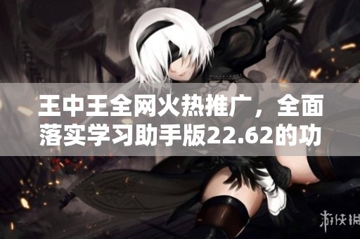 王中王全网火热推广，全面落实学习助手版22.62的功能与问题校验