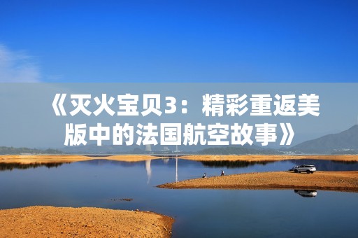 《灭火宝贝3：精彩重返美版中的法国航空故事》