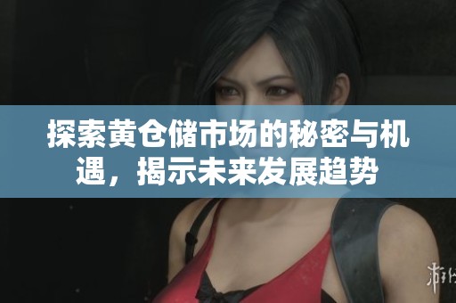 探索黄仓储市场的秘密与机遇，揭示未来发展趋势