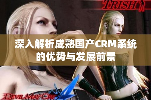 深入解析成熟国产CRM系统的优势与发展前景
