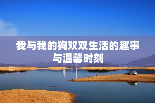 我与我的狗双双生活的趣事与温馨时刻