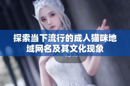 探索当下流行的成人猫咪地域网名及其文化现象
