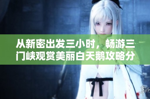 从新密出发三小时，畅游三门峡观赏美丽白天鹅攻略分享