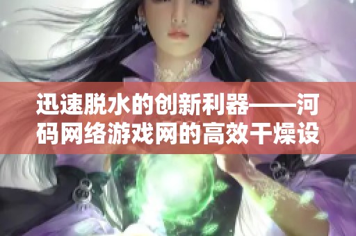 迅速脱水的创新利器——河码网络游戏网的高效干燥设备