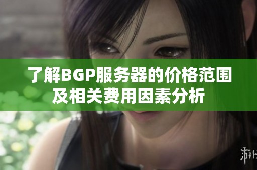 了解BGP服务器的价格范围及相关费用因素分析