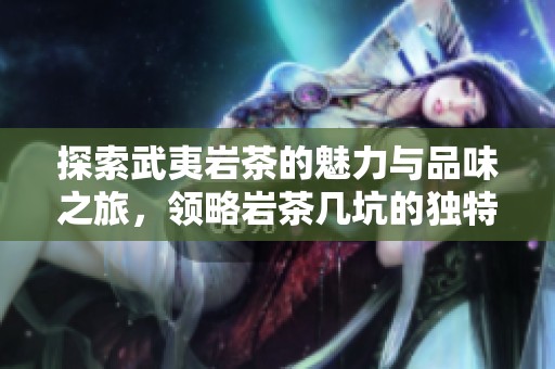 探索武夷岩茶的魅力与品味之旅，领略岩茶几坑的独特风韵