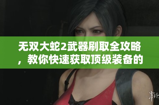 无双大蛇2武器刷取全攻略，教你快速获取顶级装备的实用技巧与策略