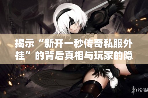 揭示“新开一秒传奇私服外挂”的背后真相与玩家的隐秘苦楚