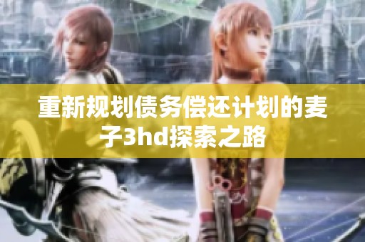 重新规划债务偿还计划的麦子3hd探索之路