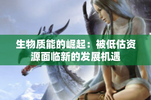 生物质能的崛起：被低估资源面临新的发展机遇