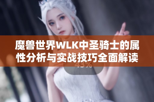 魔兽世界WLK中圣骑士的属性分析与实战技巧全面解读