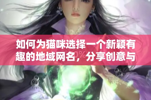 如何为猫咪选择一个新颖有趣的地域网名，分享创意与灵感