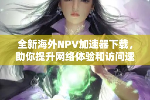 全新海外NPV加速器下载，助你提升网络体验和访问速度