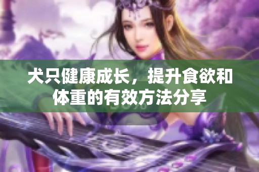犬只健康成长，提升食欲和体重的有效方法分享
