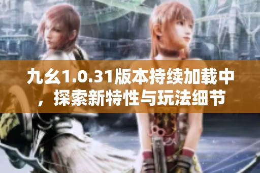 九幺1.0.31版本持续加载中，探索新特性与玩法细节