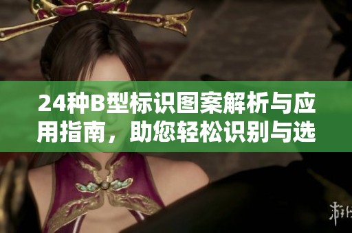 24种B型标识图案解析与应用指南，助您轻松识别与选用