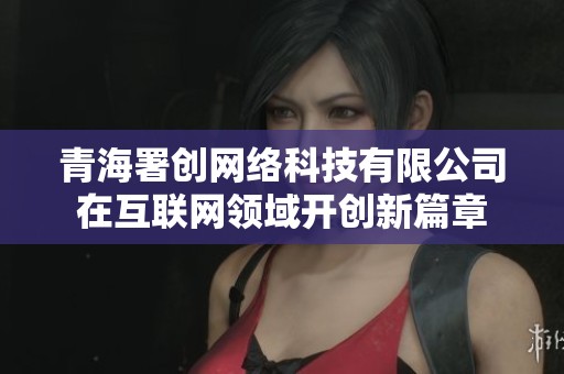 青海署创网络科技有限公司在互联网领域开创新篇章