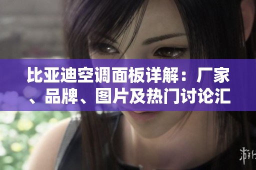 比亚迪空调面板详解：厂家、品牌、图片及热门讨论汇总