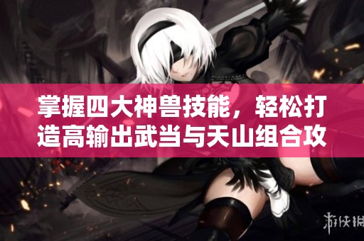 掌握四大神兽技能，轻松打造高输出武当与天山组合攻略