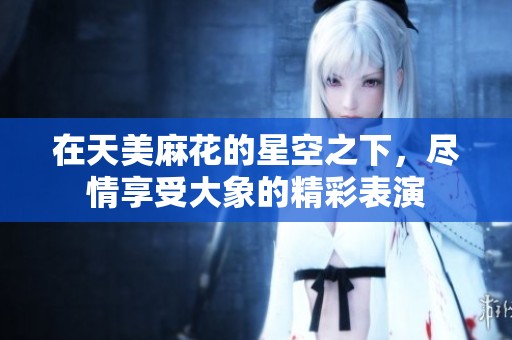 在天美麻花的星空之下，尽情享受大象的精彩表演