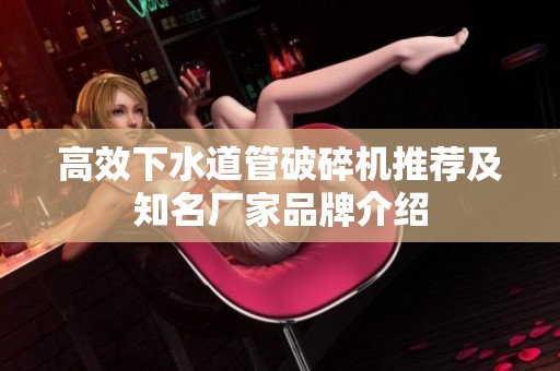 高效下水道管破碎机推荐及知名厂家品牌介绍