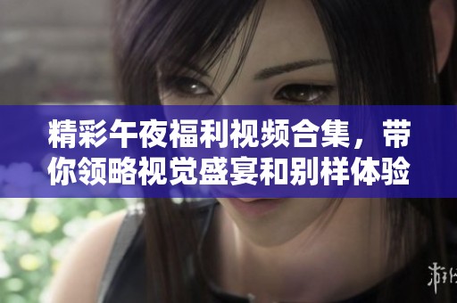 精彩午夜福利视频合集，带你领略视觉盛宴和别样体验