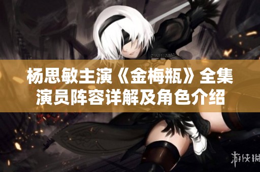 杨思敏主演《金梅瓶》全集演员阵容详解及角色介绍