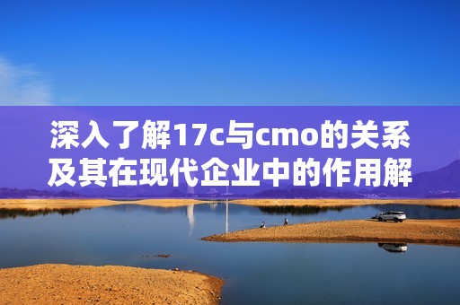 深入了解17c与cmo的关系及其在现代企业中的作用解读