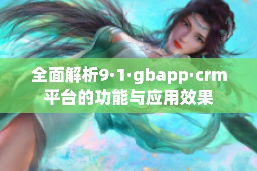 全面解析9·1·gbapp·crm平台的功能与应用效果