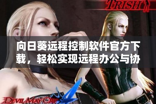 向日葵远程控制软件官方下载，轻松实现远程办公与协助