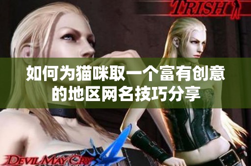 如何为猫咪取一个富有创意的地区网名技巧分享