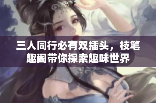 三人同行必有双插头，枝笔趣阁带你探索趣味世界