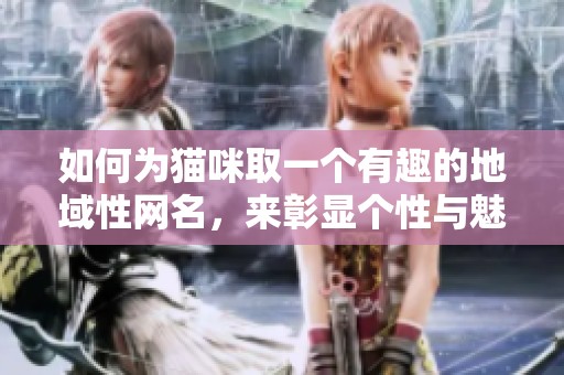 如何为猫咪取一个有趣的地域性网名，来彰显个性与魅力
