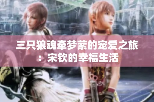三只狼魂牵梦萦的宠爱之旅：宋钦的幸福生活