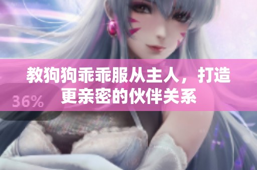 教狗狗乖乖服从主人，打造更亲密的伙伴关系