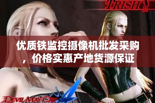 优质铁监控摄像机批发采购，价格实惠产地货源保证