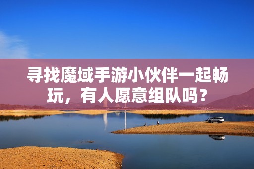 寻找魔域手游小伙伴一起畅玩，有人愿意组队吗？