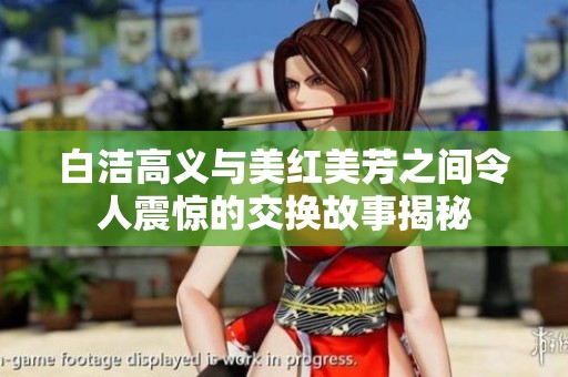 白洁高义与美红美芳之间令人震惊的交换故事揭秘