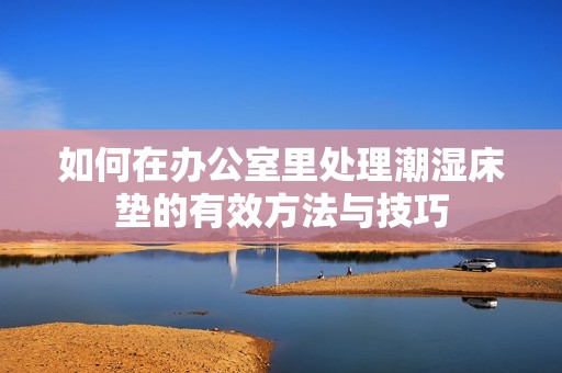 如何在办公室里处理潮湿床垫的有效方法与技巧
