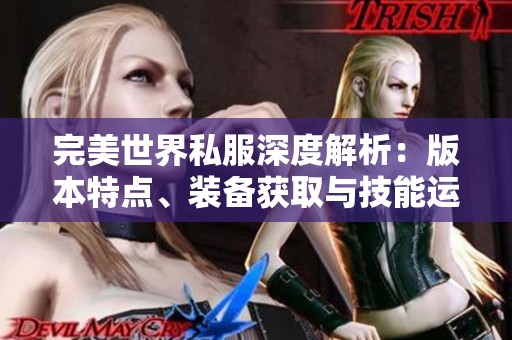 完美世界私服深度解析：版本特点、装备获取与技能运用全面揭秘