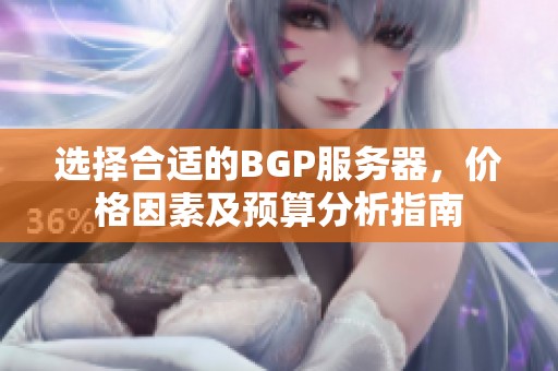 选择合适的BGP服务器，价格因素及预算分析指南