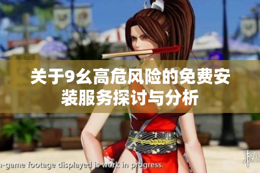 关于9幺高危风险的免费安装服务探讨与分析