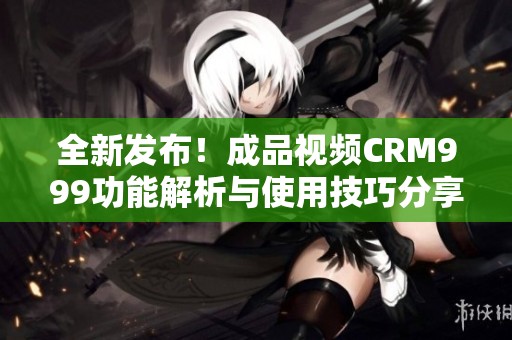全新发布！成品视频CRM999功能解析与使用技巧分享